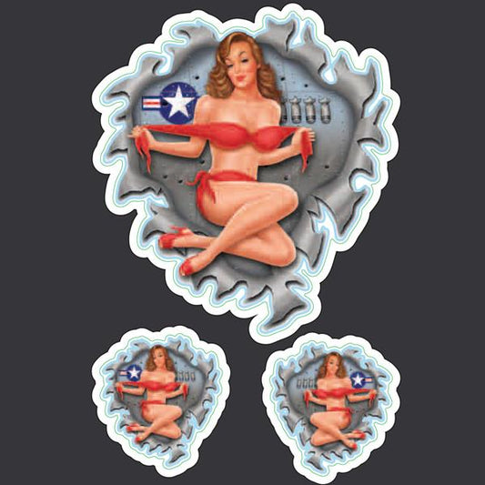 Fairing Pinup - Mini Decal